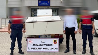 Osmaniye'de Yayla evlerini soyanlar kıskıvrak yakalandı