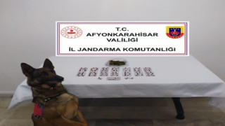 Otobüsle kente uyuşturucu getiren şahıs tutuklandı