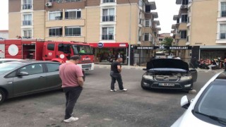 Otomobil motoruna giren yılan uzun uğraşlar sonucu çıkarıldı