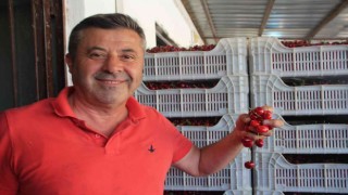 (ÖZEL) Bilecikte 30 yıldır kurulan Kiraz Borsası