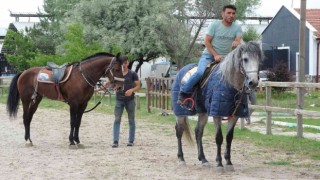 (ÖZEL) Rahvan atçılar devletten yem desteği istiyor