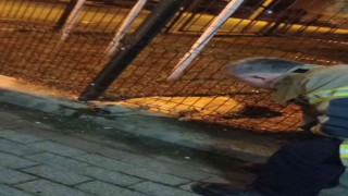 Parkın koruma tellerine sıkışan köpeği itfaiye kurtardı