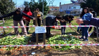 Pazardan toplanan organik atıklar, toprağı yeşertecek