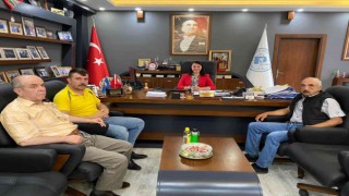 Pazaryeri Belediye Mezbahasında kesim ücretleri belli oldu