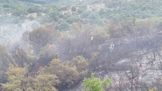 Pazaryeri ilçesinde orman yangını