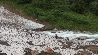 Rizede dereye düşen Ummanlı turisti arama çalışmaları sürüyor