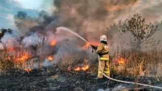 Rusyada orman yangınlarına müdahale sürüyor
