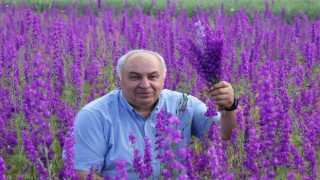 Sağanaklar doğayı mora boyadı