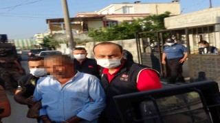 Şahmeran operasyonunda 12 kişi gözaltına alındı