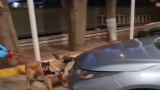Sakaryada 2 ilçede uyuşturucu operasyonu: 5 gözaltı