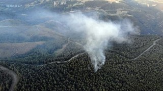 Sakaryada orman yangını büyümeden söndürüldü