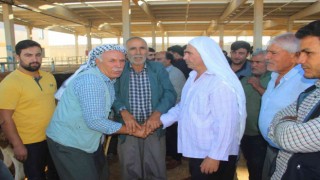 Şanlıurfa hayvan pazarlarında hareketlilik başladı