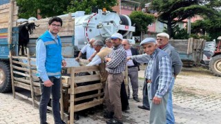 Şaphane kurbanlık hayvan pazarında denetim