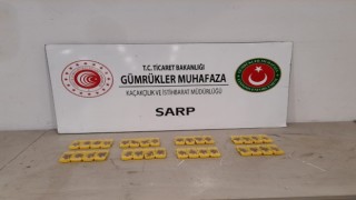 Sarp Sınır Kapısından Türkiyeye sokulmak istenen 320 canlı arı ele geçirildi