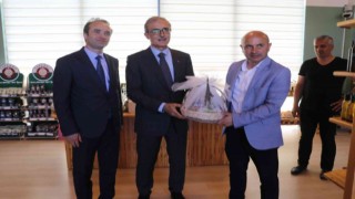Savunma Sanayii Başkanı İsmail Demir, Altınovada tıbbı aromatik bahçesini gezdi