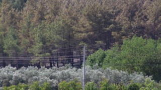 Seydikemerdeki orman yangını söndürüldü