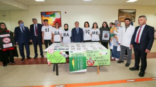 Sigaranın zararlarına dikkat çekildi
