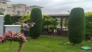 Sincanda yeşil sanat