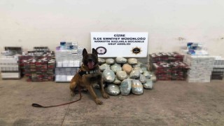 Şırnakta 51 kilo esrar ve kaçak sigara ele geçirildi