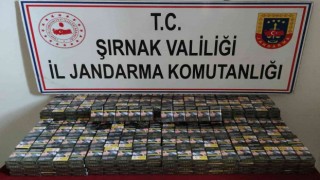 Şırnakta kaçakçılık ve asayiş operasyonu: 51 gözaltı