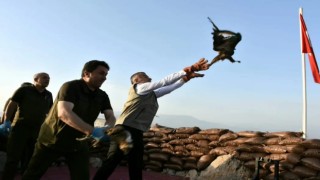 Şırnakta tedavisi tamamlanan kuşlar doğaya bırakıldı