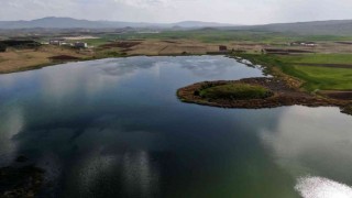 Sivasın en büyük ikinci gölünde sevindiren gelişme