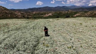 Sivasta kış günlerini aratmayan görüntü