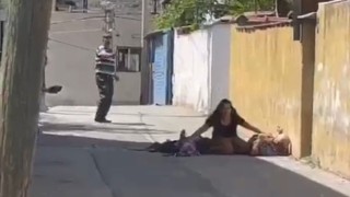 Sokak köpeklerini besledikleri için öldürmüş