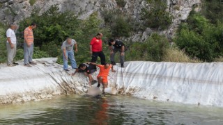 Sulama havuzuna giren çocuk boğuldu