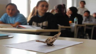 Sultanbeylide okulda görülen 17 santimlik dev kelebek görenleri şaşırttı