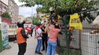 Sultangazide kiraz ağacından inerken kaydı: Çocuğun eline demir çit saplandı