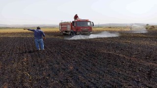 Tarlada çıkan yangında 5 dönüm buğday küle döndü