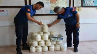 Tarsusta sağlığa zararlı 830 kilogram peynir ele geçirildi