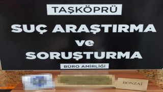 Taşköprüde polisten silah ve uyuşturucu operasyonu