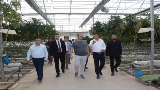 Tatvan heyetinden Van ve Ağrıdaki seralara inceleme ziyareti