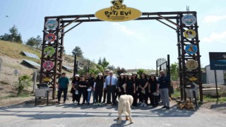 Tekden öğrencilerinden sokak hayvanları için ‘Ver Elini Tut Patimi kampanyası
