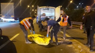 TEMde yolun karşısına geçerken tırın çarptığı şahıs hayatını kaybetti