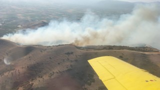 Tiredeki orman yangınına havadan ve karadan müdahale