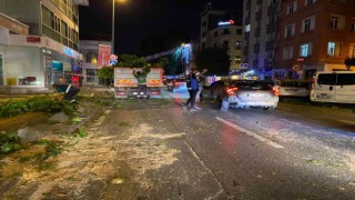 TIRın çarptığı ağaç ortadan ikiye kırıldı