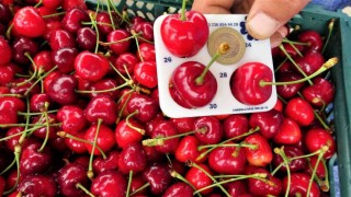Tokattan Hindistana kiraz ihracatı