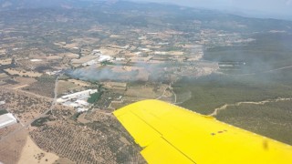 Torbalıda zeytinlik alanda yangın