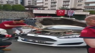 Trabzonda bir otomobilin motor kısmına giren yılanı itfaiye çıkardı