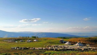 Tuncelide 3 bin 500 rakımda koyun kırkma mesaisi