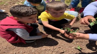 Tuncelide anaokulu öğrencileri hobi bahçesi oluşturdu