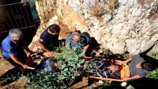 Tuvaletini yaparken falezlerden düştü, polis ve itfaiye alarma geçti