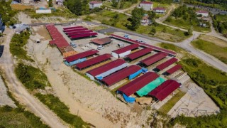 Ünyede modern hayvan pazarı hizmete açıldı