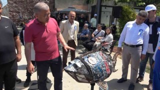 Üsküdarda denizde ve karada çevre temizliği