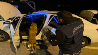 Uyuşturucu operasyonu; 2 gözaltı