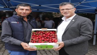 Üzümün başkentinde kiraz festivali