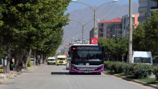 Vanda yarı maraton için ücretsiz ulaşım hizmeti